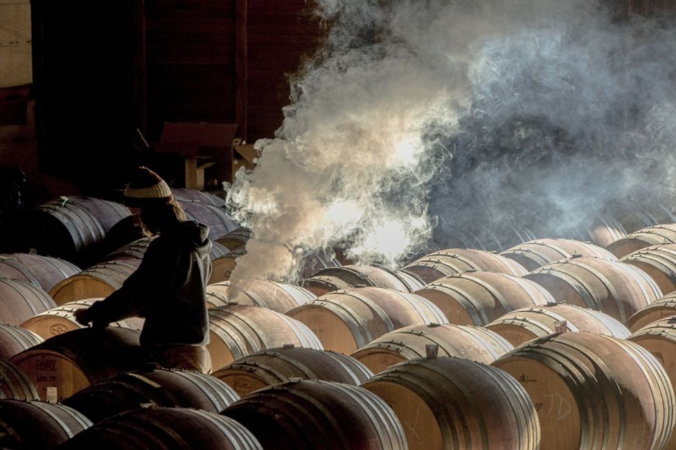 8 photos finalistes du Wine photographer of the year