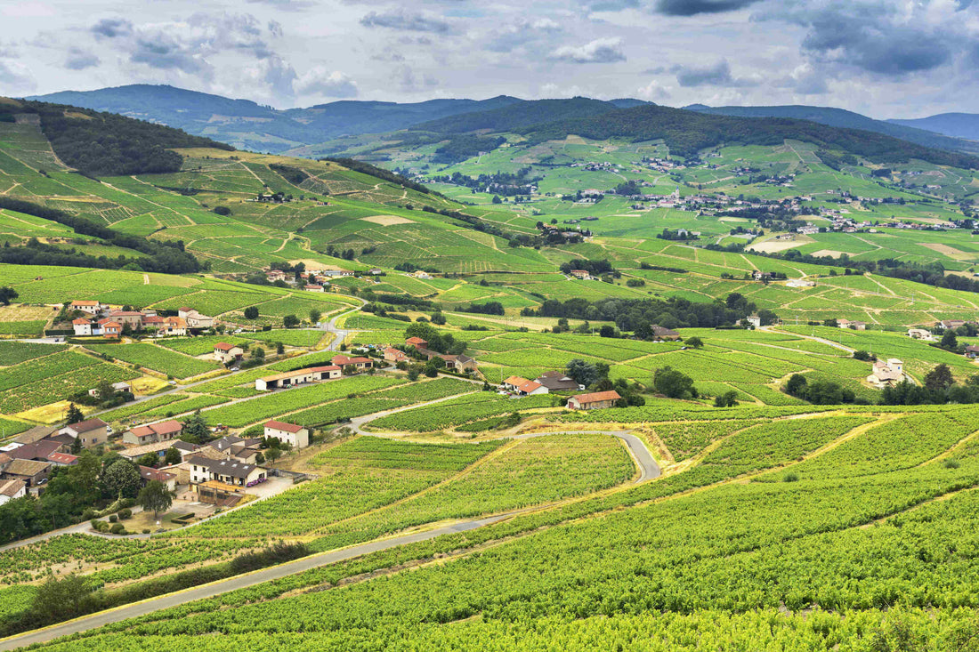 Carnet de voyage / Beaujolais