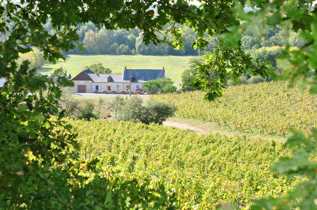 La belle histoire du domaine Cady.