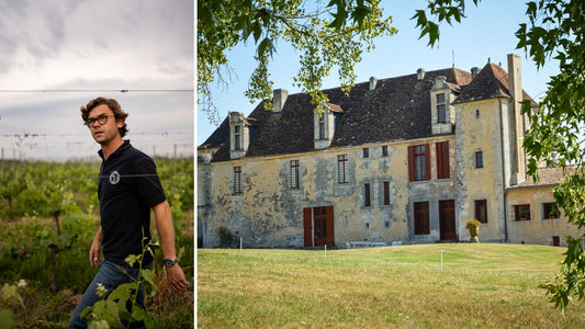 Esprit de vendanges au Grand Verdus