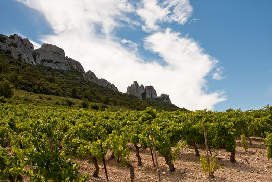 Sept avintures en vallée du Rhône