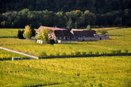 Hommage à Laurence Faller du Domaine Weinbach