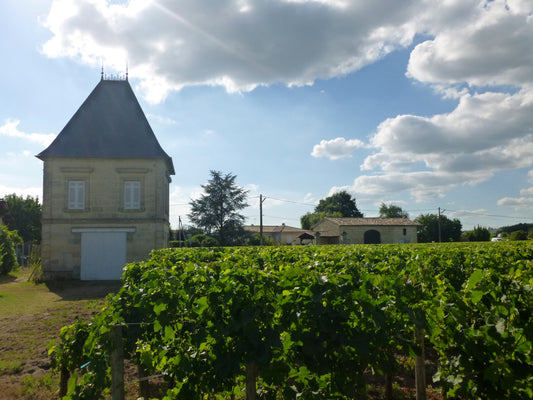 Zoom sur Le Château l'Eglise d'Armens