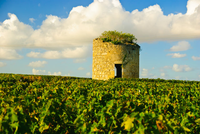 Carnet de Voyage / Le Haut-Médoc