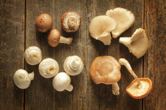 Quel petit ballon avec les champignons ?