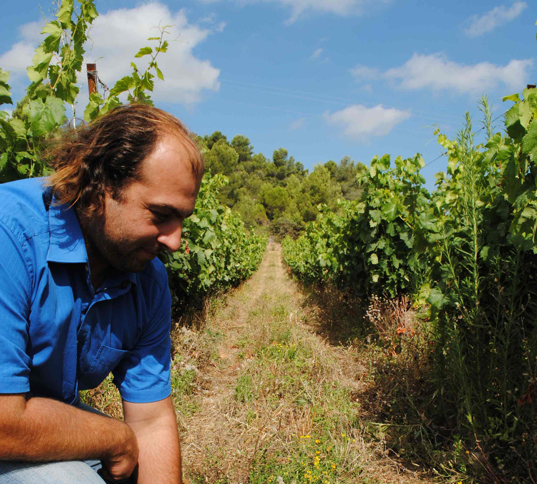 Zoom sur le Domaine la Prade Mari