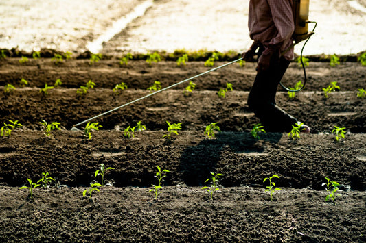 Un robot pour désherber la vigne