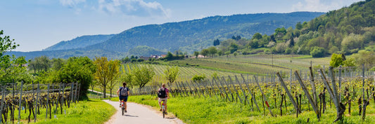 3 manières de lier le vin et le sport !