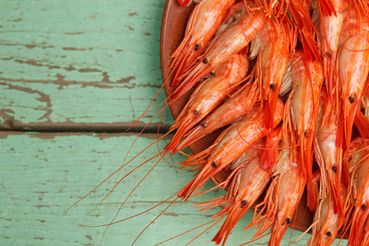 Quel vin avec les fruits de mer ?