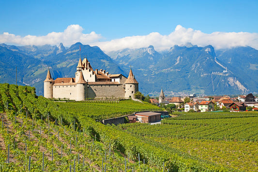 4 vignobles vieux comme la nuit des temps !