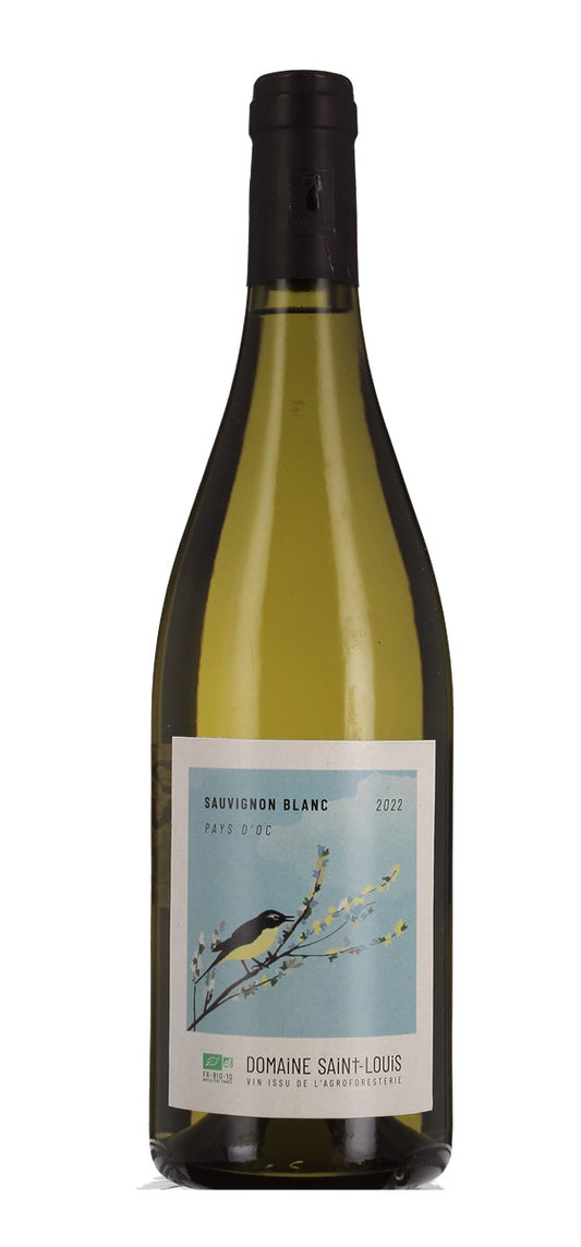 Domaine Saint Louis - Sauvignon blanc  - IGP Pays d'Oc - Blanc - 2022