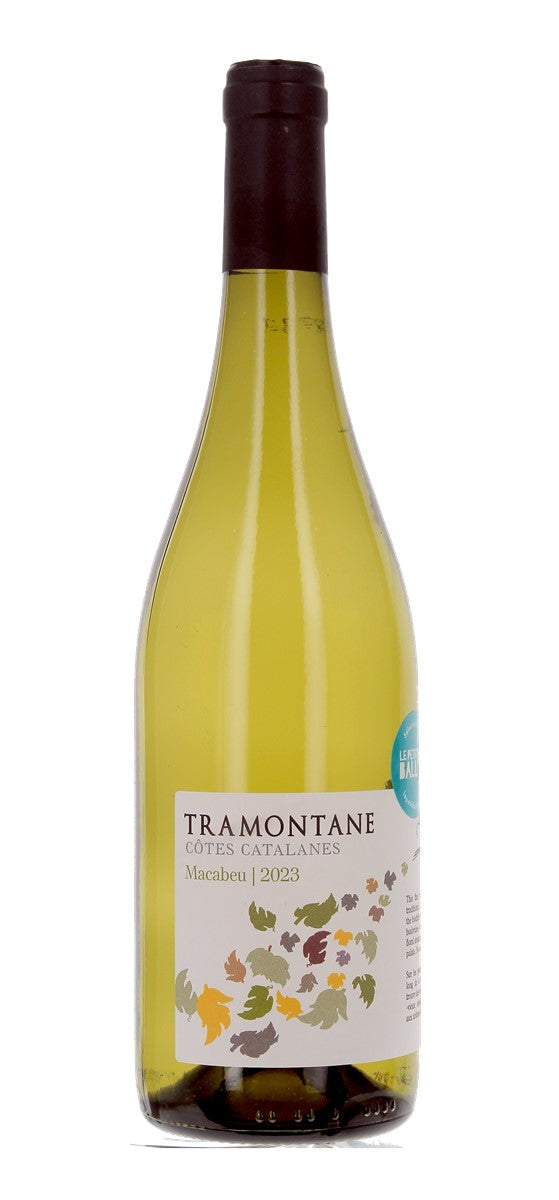 Tramontane - Macabeu - IGP Côtes Catalanes - Blanc - 2023