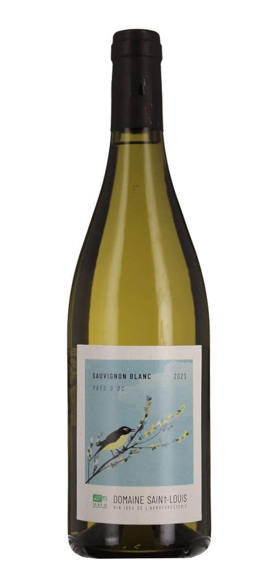 Domaine Saint Louis - Sauvignon - IGP Pays d'Oc - Blanc - 2023