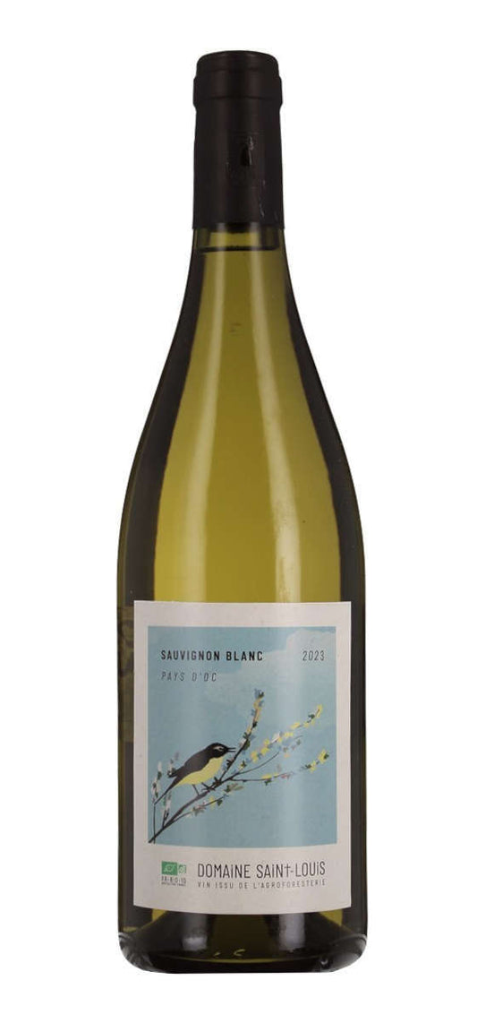 Domaine Saint Louis - Sauvignon - IGP Pays d'Oc - Blanc - 2023