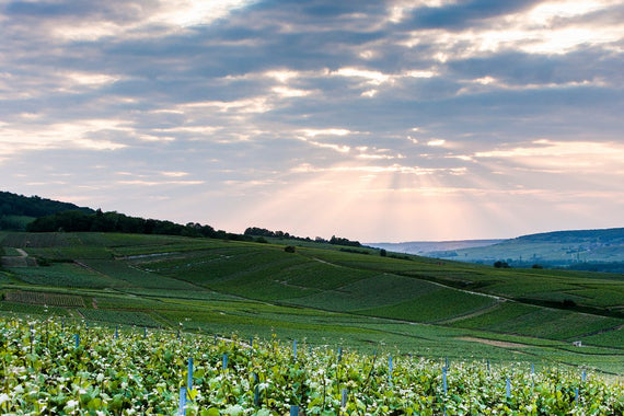 Champagne Beaumont des Crayères