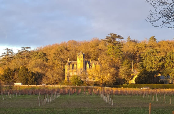 Château de Coulaine