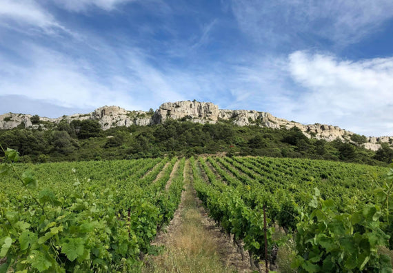 Château de Figuières