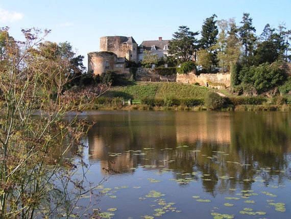 Château de Passavant