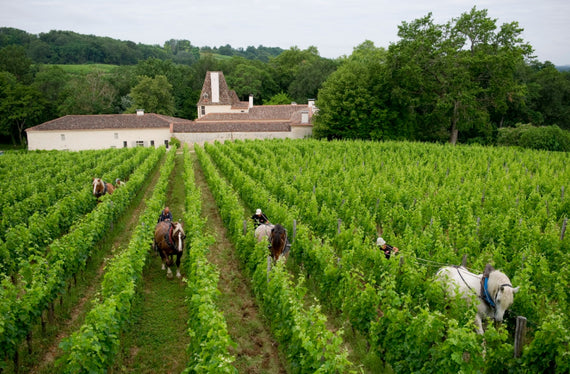 Château Jean Faux