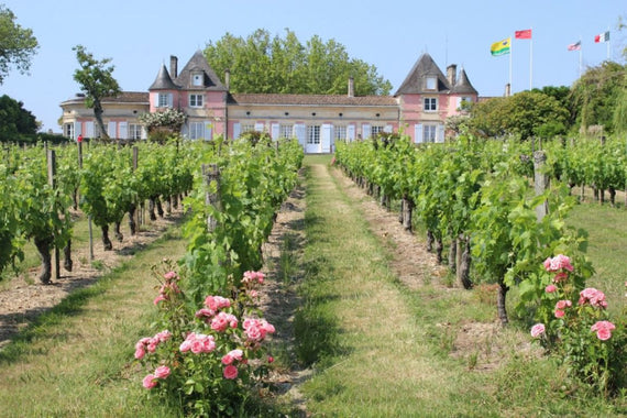 Château Loudenne