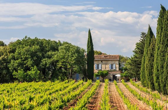 Château Saint Esprit