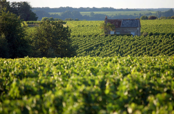 Domaine de la Croix Mélier