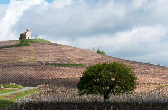 Domaine de la Madone