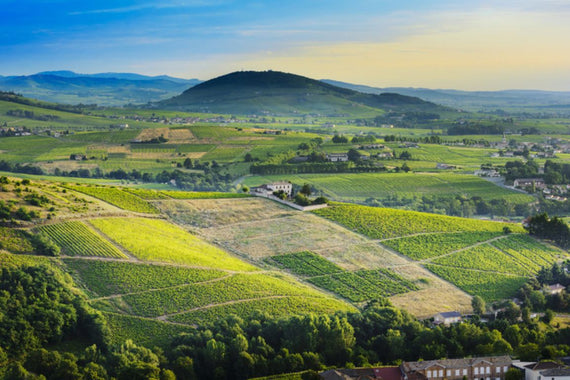 Domaine de la Verpillère