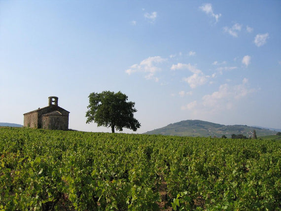 Domaine de Sermezy