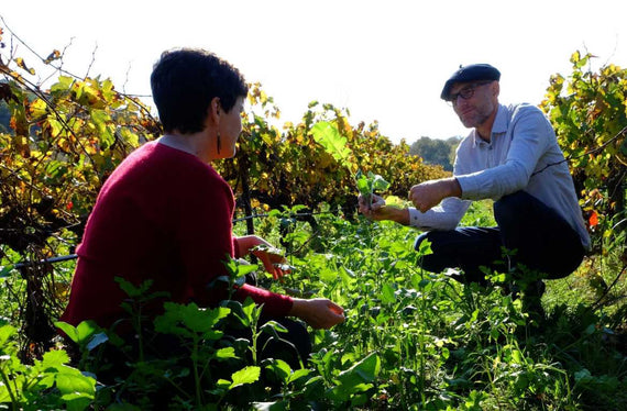 Domaine des Maels