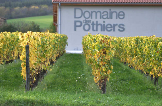 Domaine des Pothiers