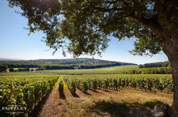 Domaine Faiveley