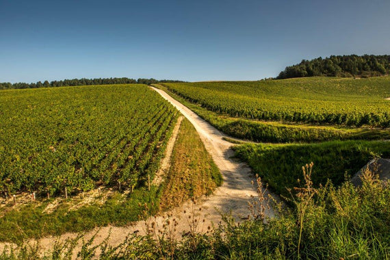 Domaine Jean-Marc Brocard