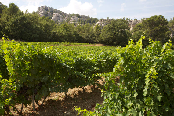 Domaine Jean-Maurice Raffault