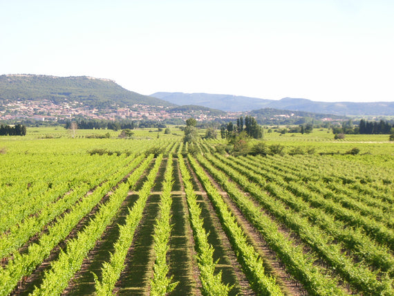 Domaine Pélaquié