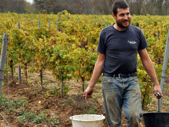 Domaine Ricardelle de Lautrec