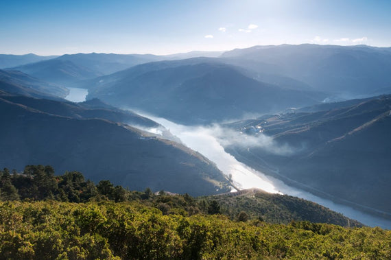 Lavradores de Feitoria