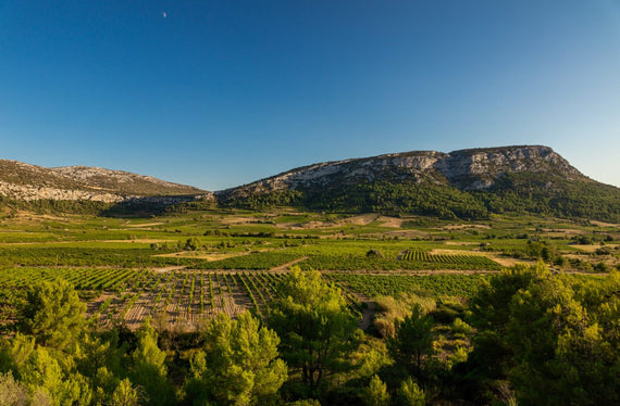 Les vignerons de Tautavel Vingrau