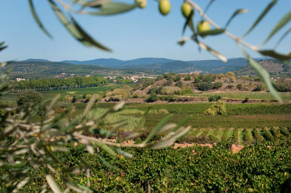 Vignobles Jacques Frelin